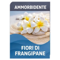 Ammorbidente Fiori di Frangipane