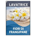 Bucato Fiori di Frangipane